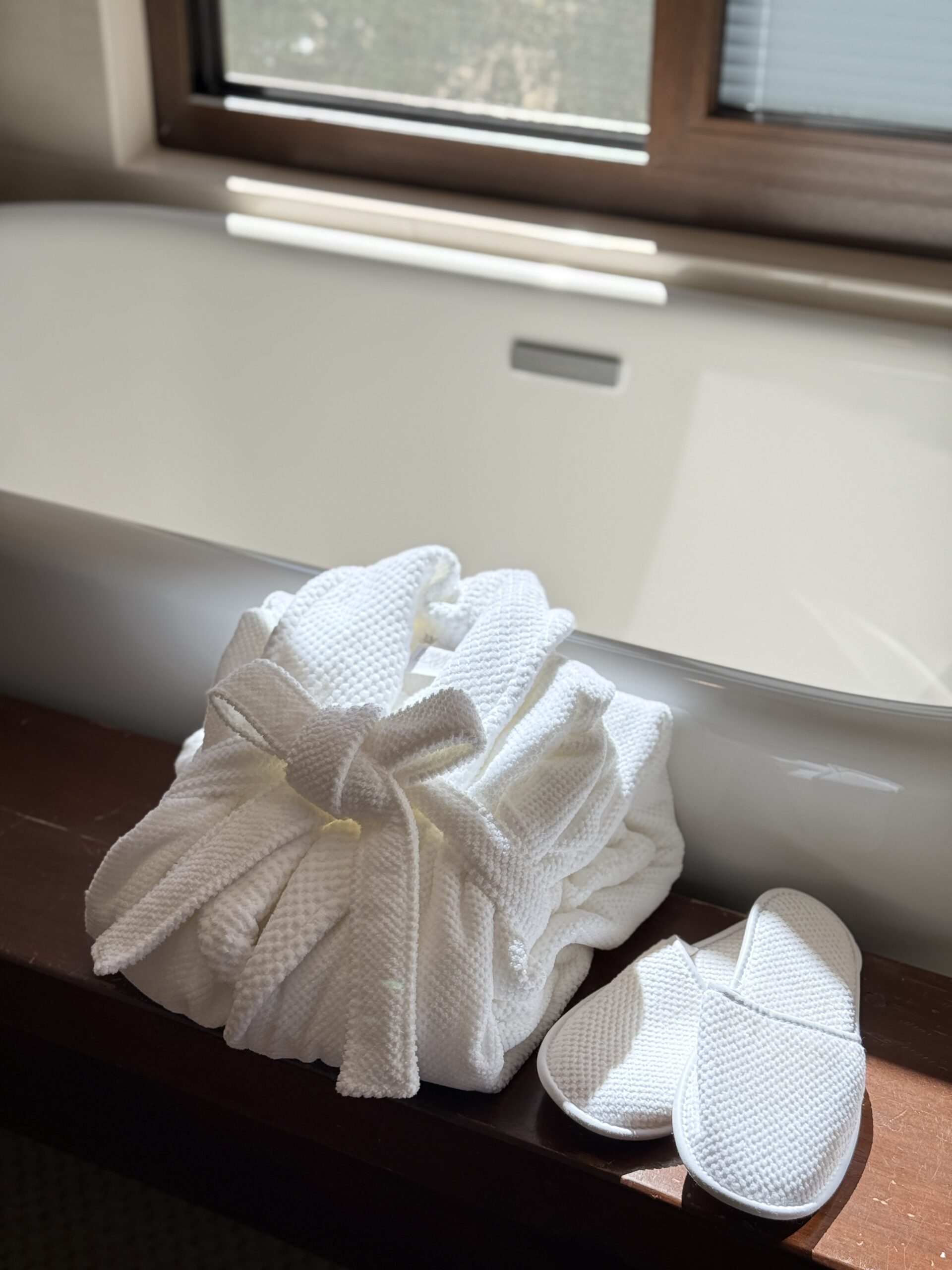 Bathrobe and Slippers
